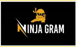 NinjaGram Crack v7.6.7.3 + License Key Full Version [Latest]
